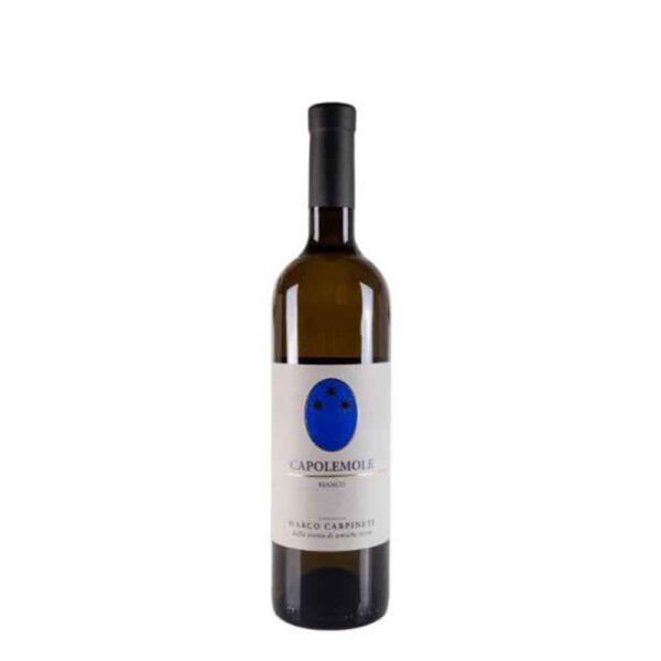 Marco Carpineti Capolemole Bianco - Italian white wine - Winefoodshop
